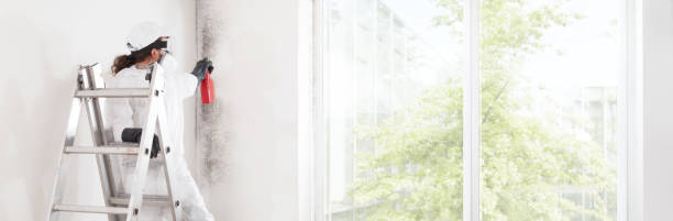Mold Remediation for Vacation Homes in Merrydale, LA